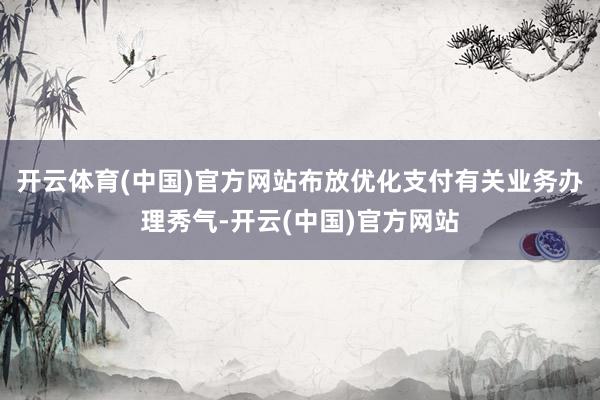 开云体育(中国)官方网站布放优化支付有关业务办理秀气-开云(中国)官方网站