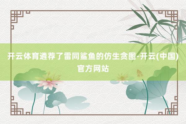 开云体育遴荐了雷同鲨鱼的仿生贪图-开云(中国)官方网站