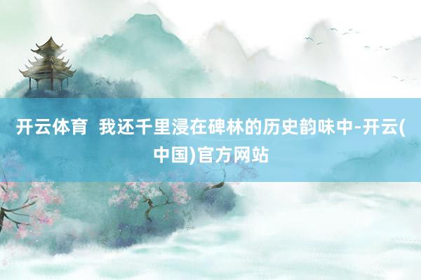 开云体育  我还千里浸在碑林的历史韵味中-开云(中国)官方网站