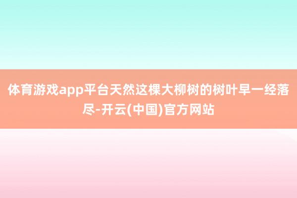体育游戏app平台天然这棵大柳树的树叶早一经落尽-开云(中国)官方网站