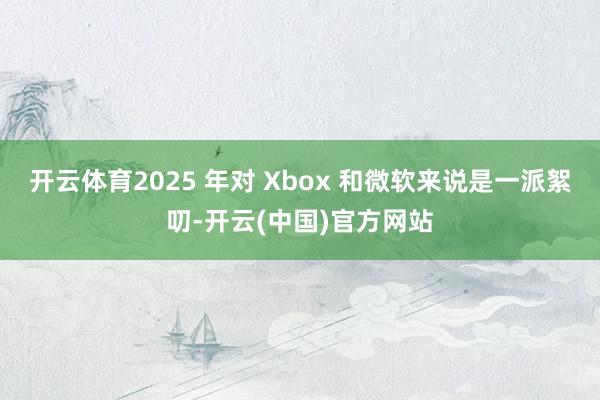 开云体育2025 年对 Xbox 和微软来说是一派絮叨-开云(中国)官方网站