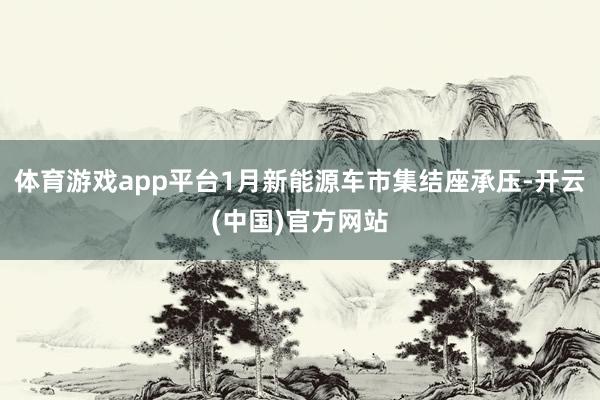 体育游戏app平台1月新能源车市集结座承压-开云(中国)官方网站