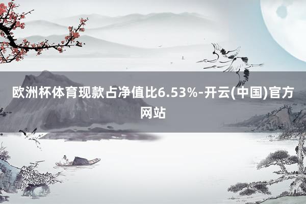 欧洲杯体育现款占净值比6.53%-开云(中国)官方网站