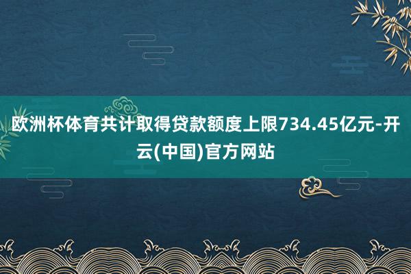 欧洲杯体育共计取得贷款额度上限734.45亿元-开云(中国)官方网站