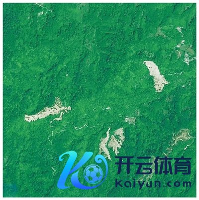 海南热带雨林国度公园五指山片区局部2011年卫星遥感图。