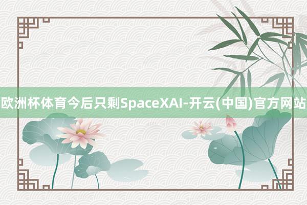 欧洲杯体育今后只剩SpaceXAI-开云(中国)官方网站